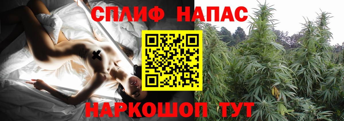 Бошки марихуана гибрид  Конопля THC 21%  Малоярославец  Вход с VPN  Канабис планчик  Марихуана Bruce Banner 