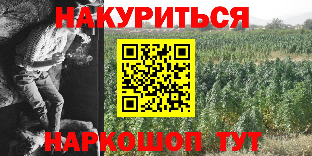 Конопля OG Kush Малоярославец